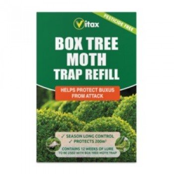 Buxus Moth Trap Refill - Pack 2