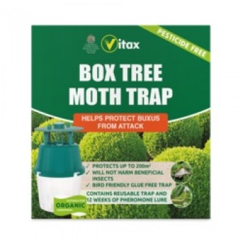 Buxus Moth Trap - 1 Trap