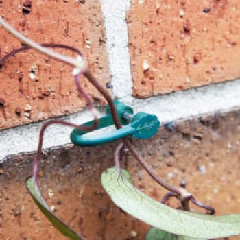 Stem Support Clips - Pack 25