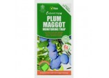 Plum Maggot Trap