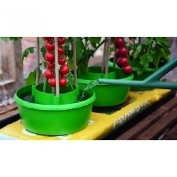 Plant Halos Green - Pack 3