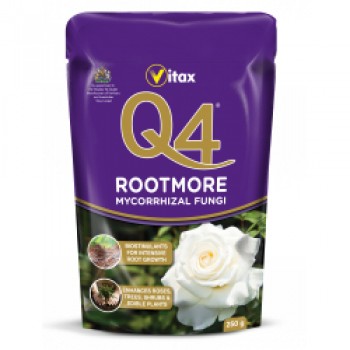 Q4 Rootmore - 60g