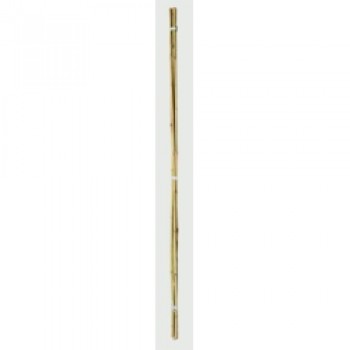 Bamboo Canes - 4&rsquo; Pack 20